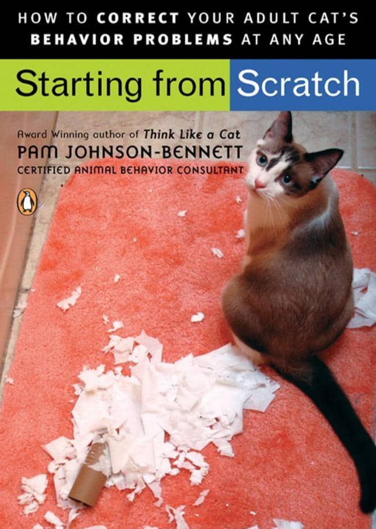 Start From Scratch How To Correct Behavior Problem In Your Adult Cat