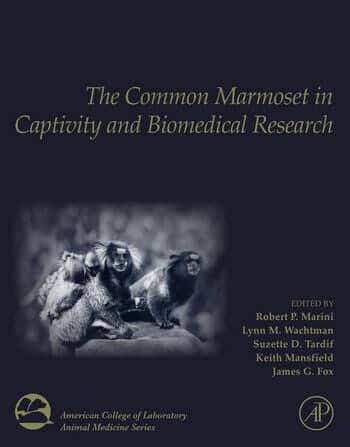 The Common Marmoset In Captivity And Biomedical Research