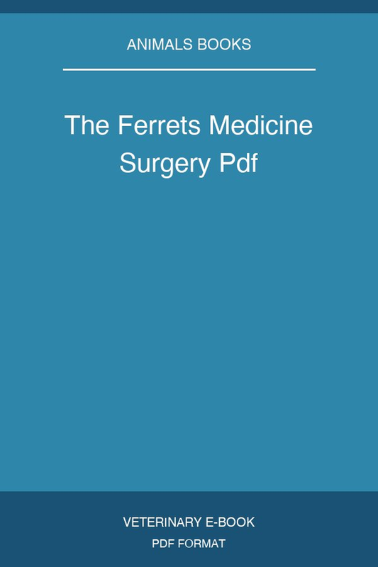 The Ferrets Medicine Surgery
