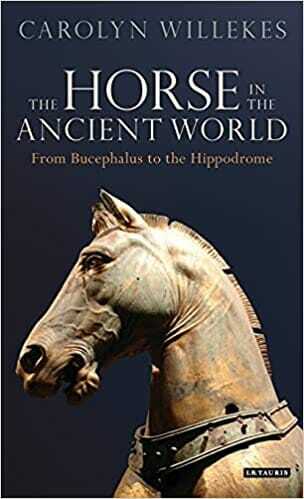 The Horse In The Ancient World From Bucephalus To The Hippodrome