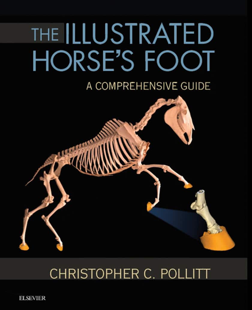 The Illustrated Horses Foot A Comprehensive Guide