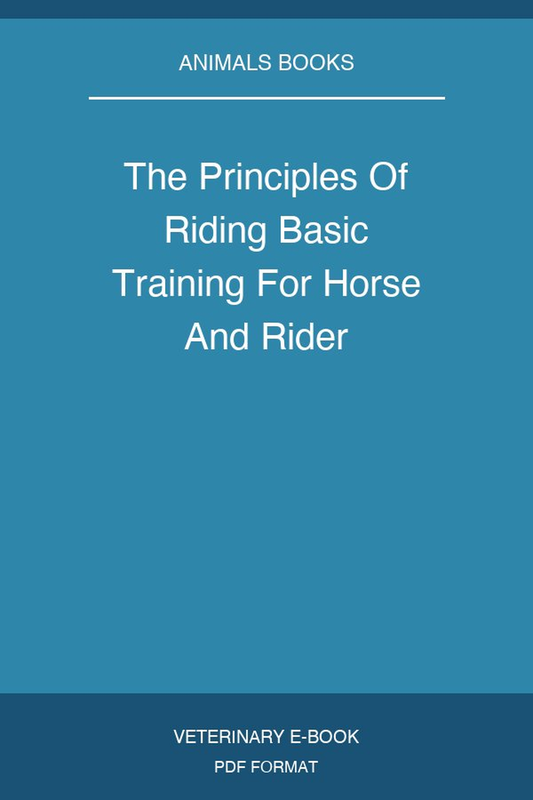 The Principles Of Riding Basic Training For Horse And Rider