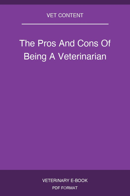 The Pros And Cons Of Being A Veterinarian