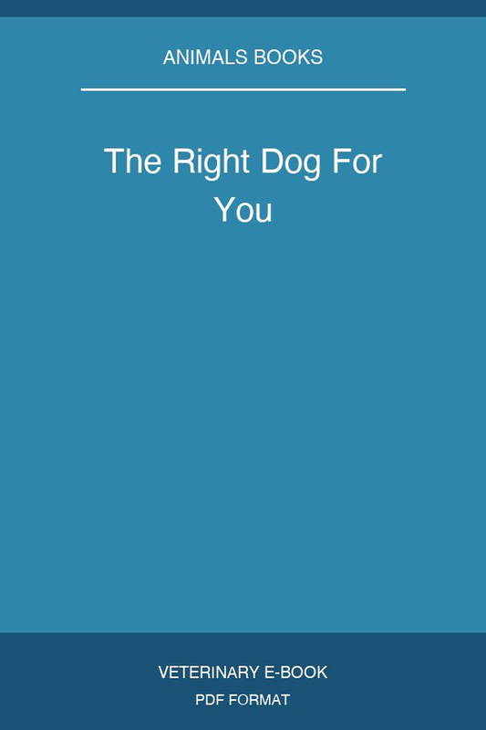 The Right Dog For You