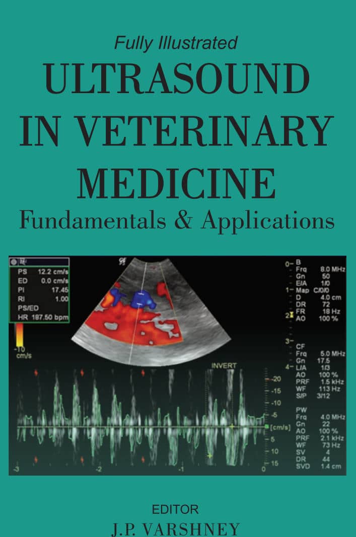 Ultrasound In Veterinary Medicine Fundamentals And Applications