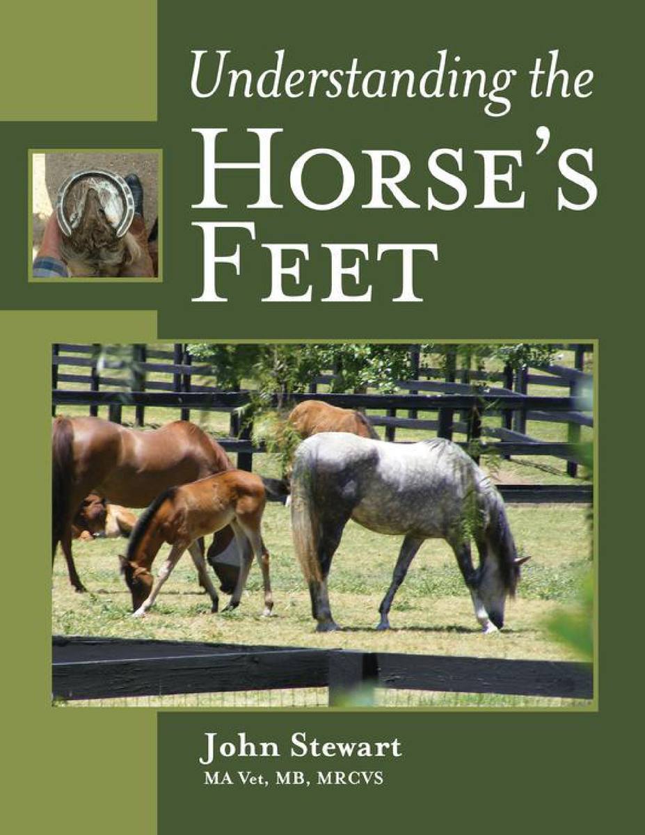 Understanding the Horses Feet