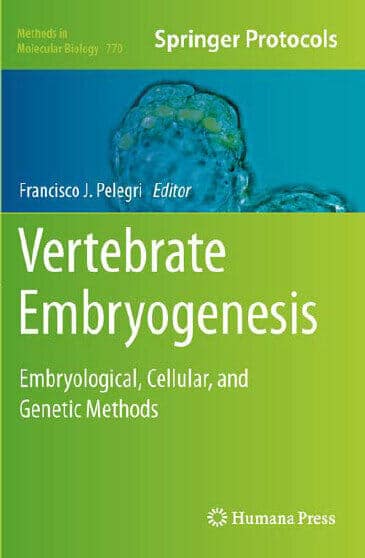 Vertebrate Embryogenesis Embryological Cellular And Genetic Methods