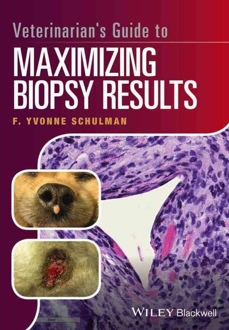 Veterinarians Guide To Maximizing Biopsy Results