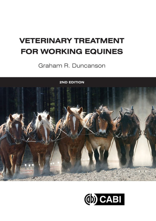 Veterinary Treatment For Working Equines