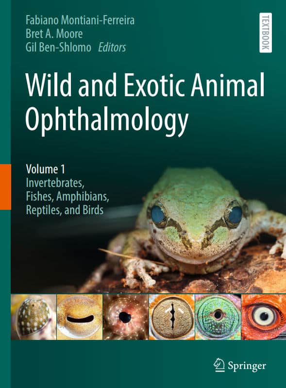 Wild And Exotic Animal Ophthalmology Volume 1 Invertebrates Fishes Amphibians Reptiles And Birds