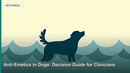 Anti-Emetics in Dogs: Decision Guide for Clinicians — GlobalVetCo