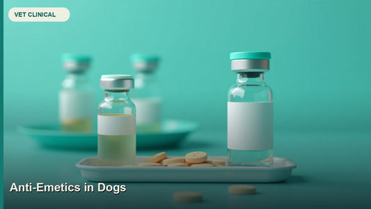 Anti-Emetics in Dogs: Decision Guide for Clinicians — GlobalVetCo