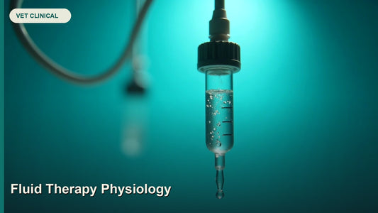 Fluid Therapy Physiology: The Science Behind Every Drop — GlobalVetCo