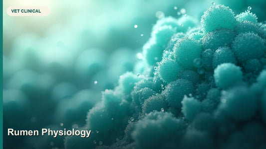 Rumen Physiology: Fermentation, VFAs and Ruminant Metabolism — GlobalVetCo