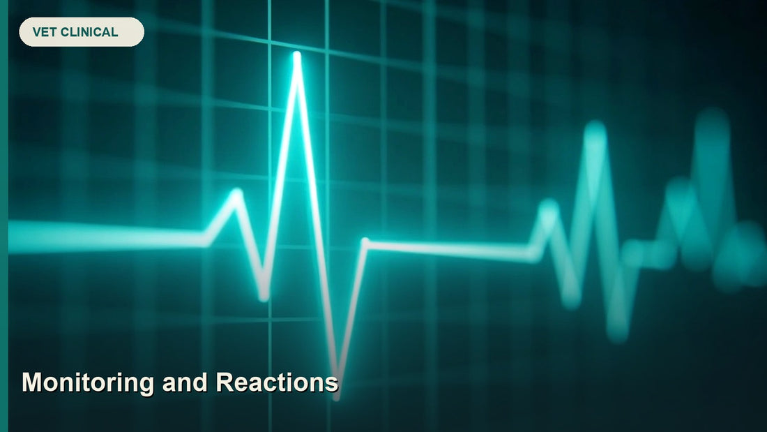 Transfusion Monitoring and Reactions: Flow Sheet, Stop Rules and Traceability — GlobalVetCo