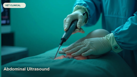 Veterinary Abdominal Ultrasound: Complete Clinical Guide — GlobalVetCo