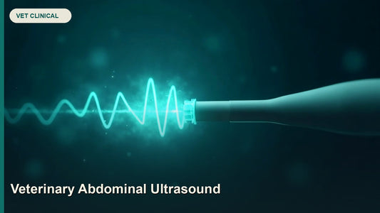 Veterinary Abdominal Ultrasound: Complete Clinical Guide — GlobalVetCo