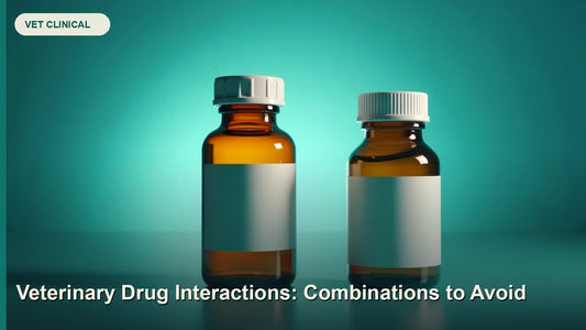Veterinary Drug Interactions: Combinations to Avoid — GlobalVetCo