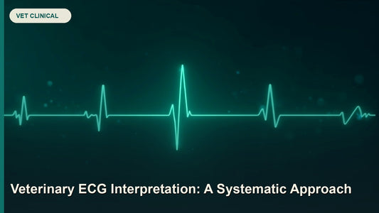 Veterinary ECG Interpretation: A Systematic Approach — GlobalVetCo