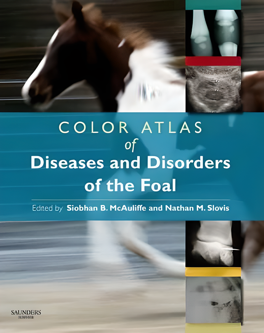 Color Atlas of Diseases and Disorders of the Foal - HD Cover