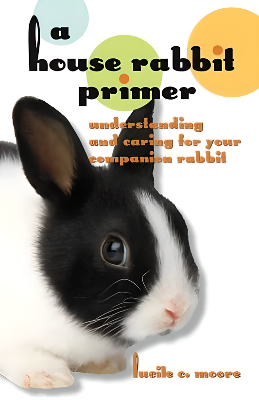 A House Rabbit Primer, Understanding and Caring for Your Companion Rabbit - HD Cover