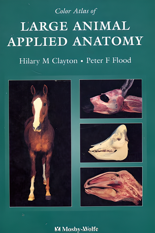 Color Atlas of Large Animal Applied Anatomy, 1st edition - HD Cover