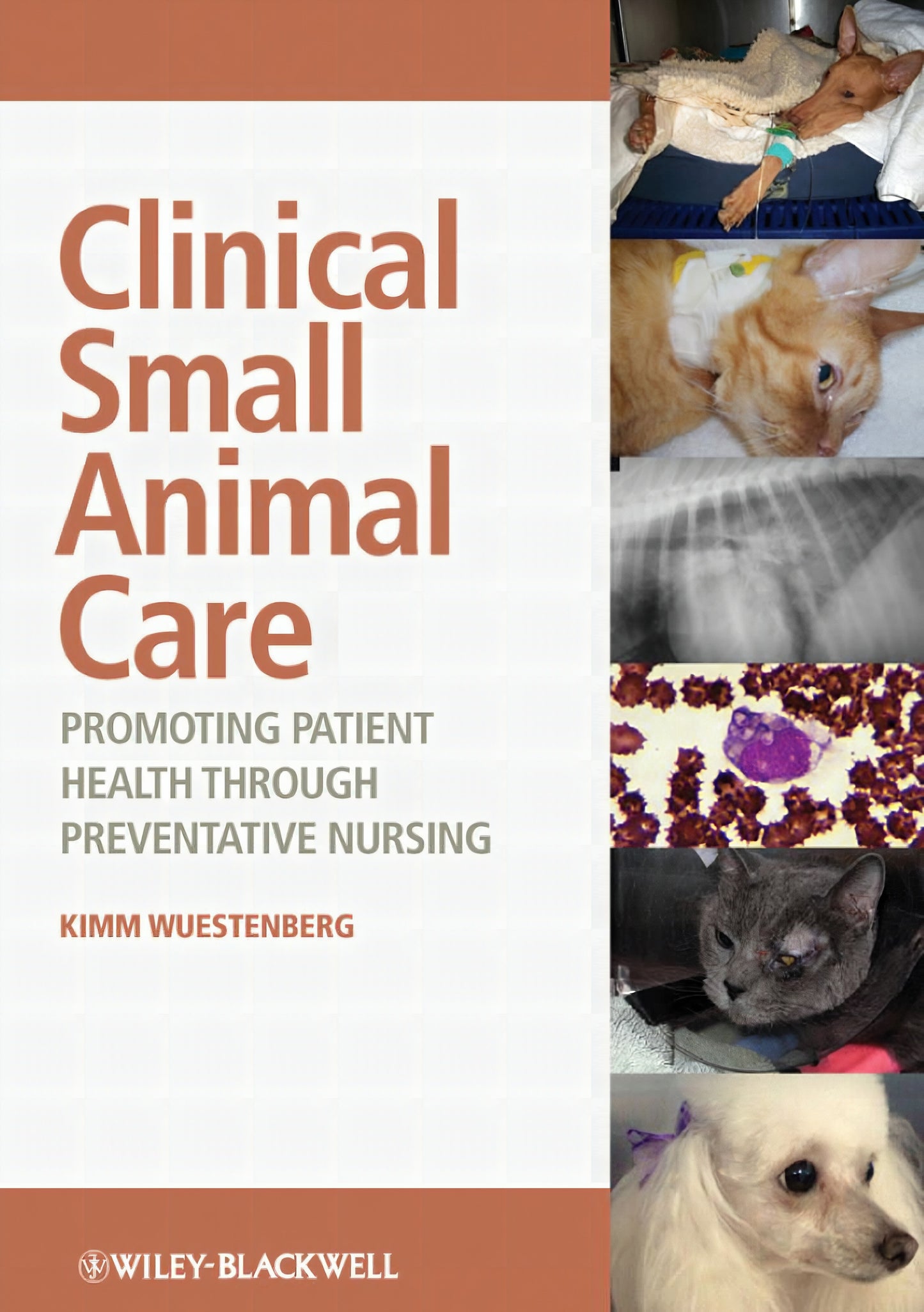 Clinical Small Animal Care Promoting Patient Health Through Preventative Nursing