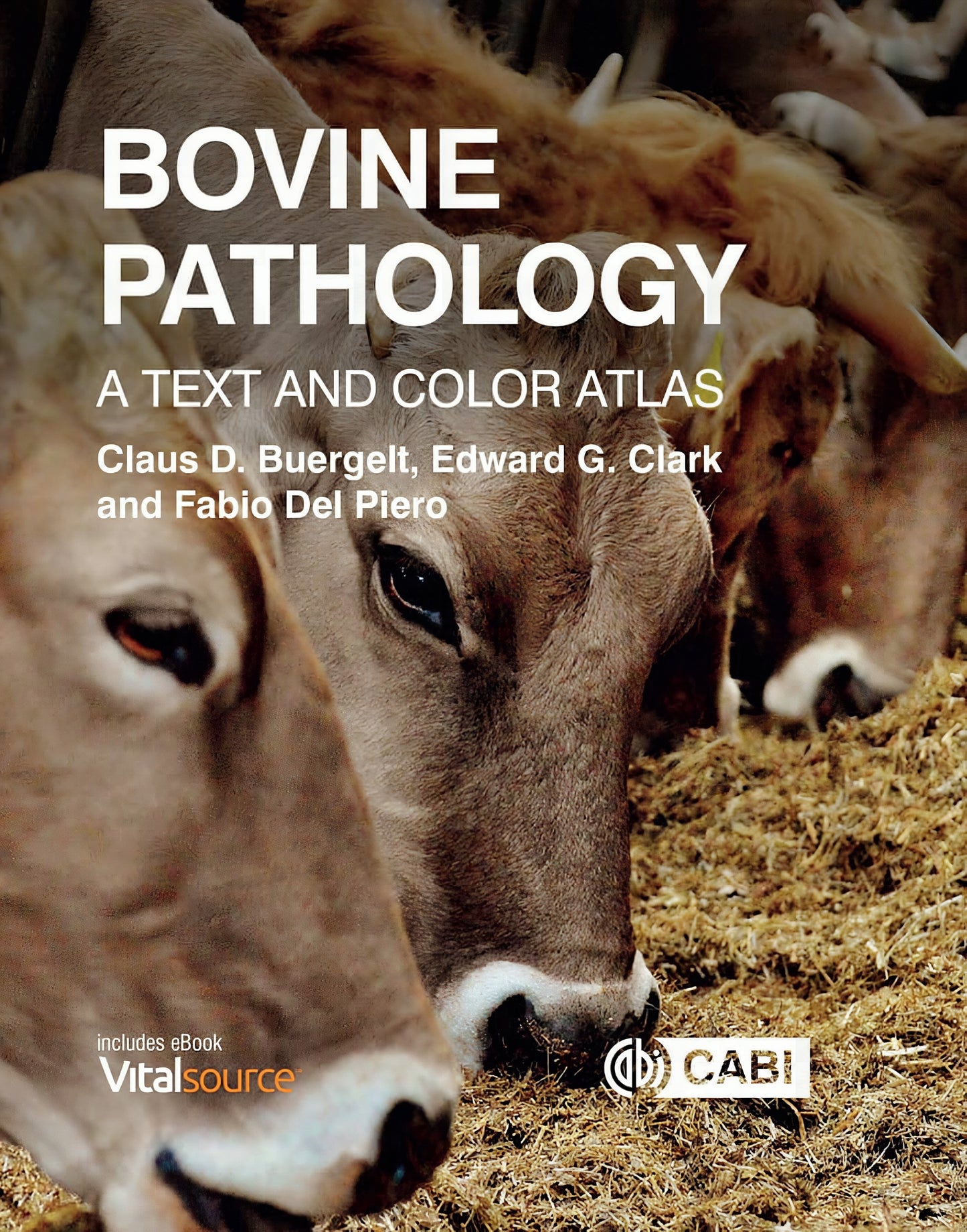 Bovine Pathology A Text And Color Atlas