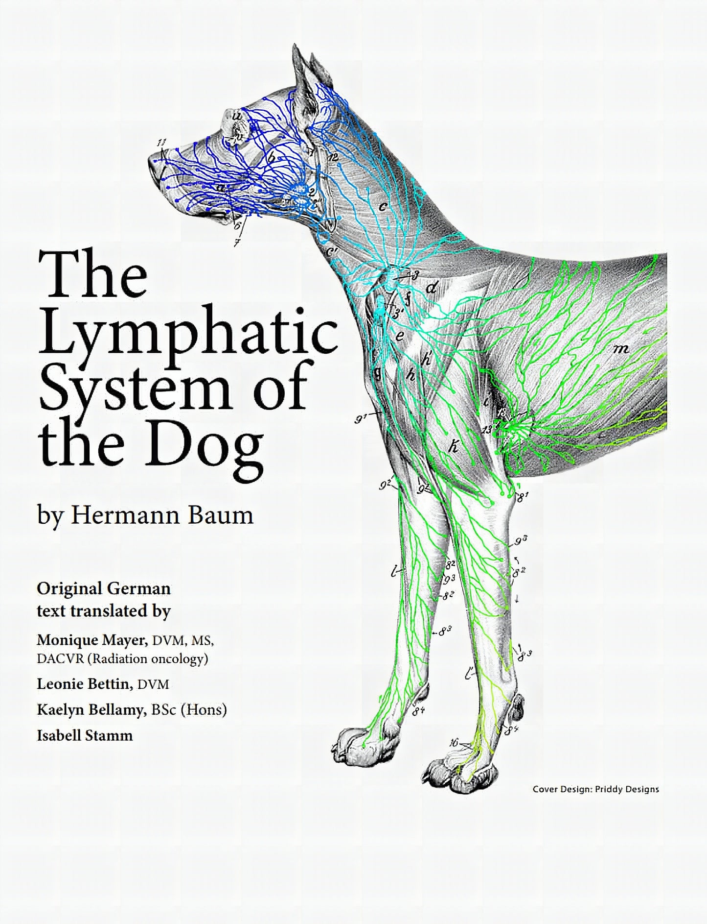 The Lymphatic System Of The Dog