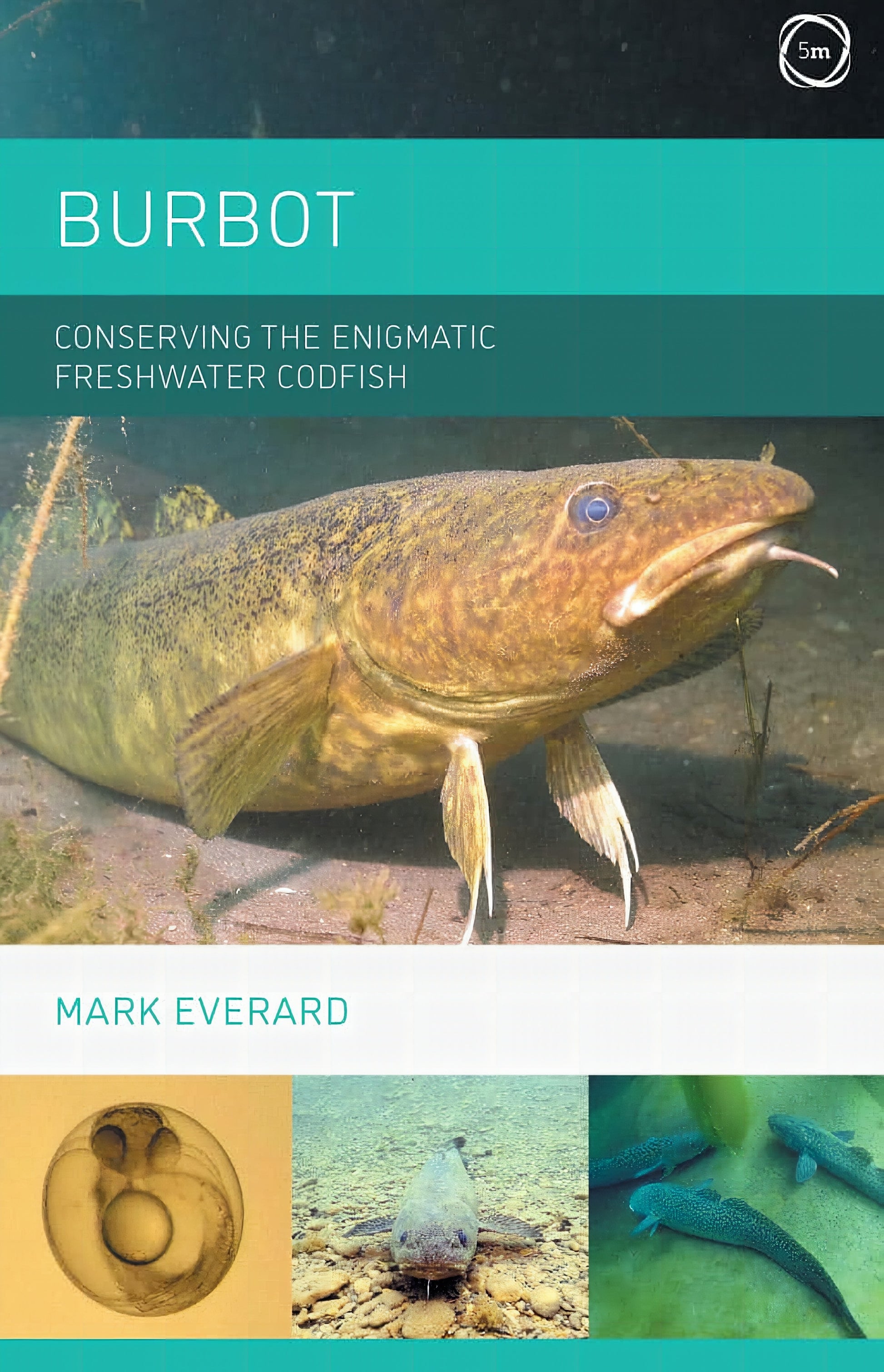 Burbot Conserving The Enigmatic Freshwater Codfish