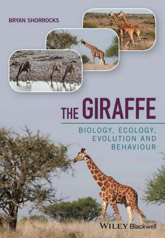 The Giraffe Biology Ecology Evolution And Behaviour
