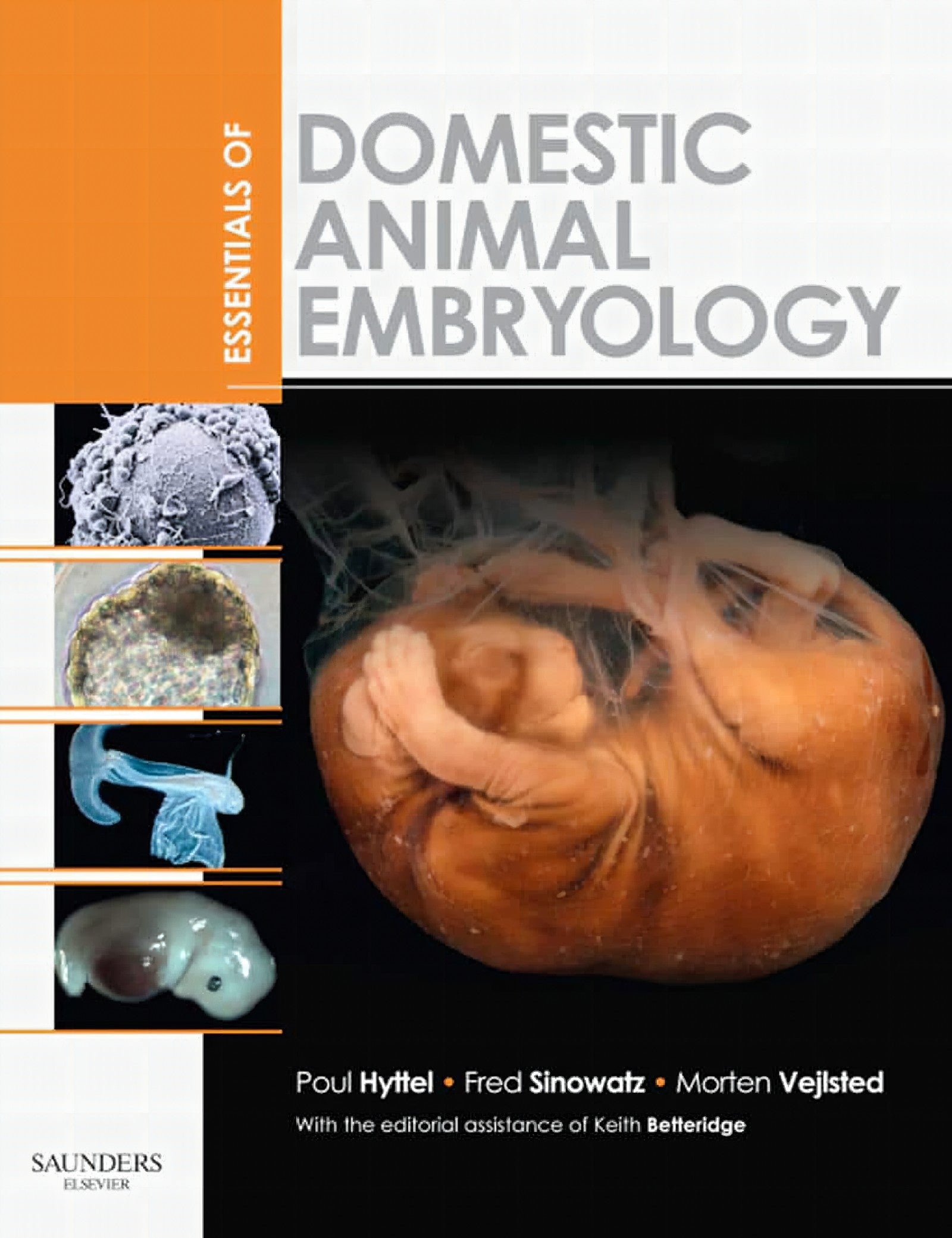 Essentials Of Domestic Animals Embryology