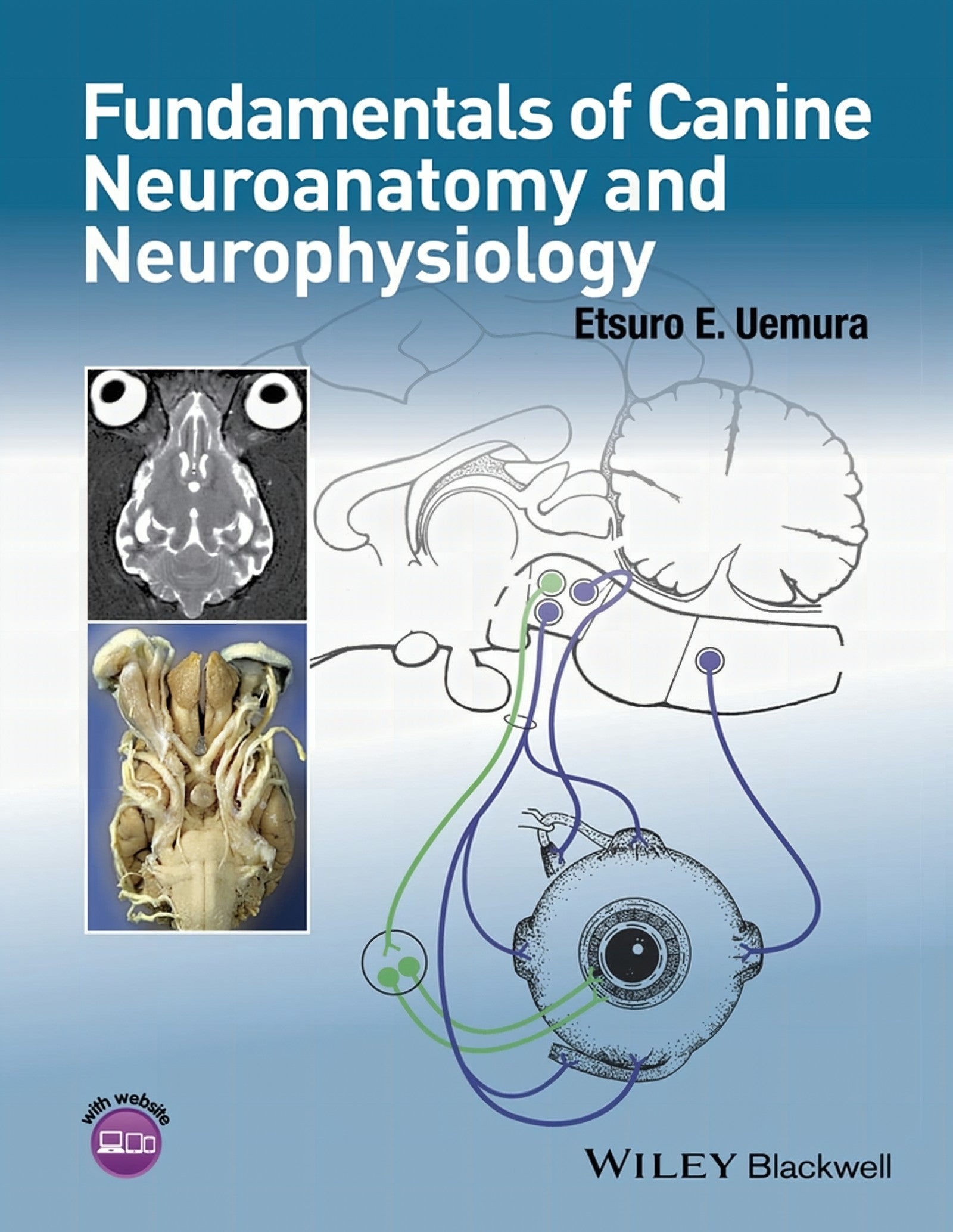 Fundamentals Of Canine Neuroanatomy And Neurophysiology