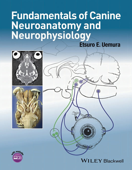Fundamentals Of Canine Neuroanatomy And Neurophysiology