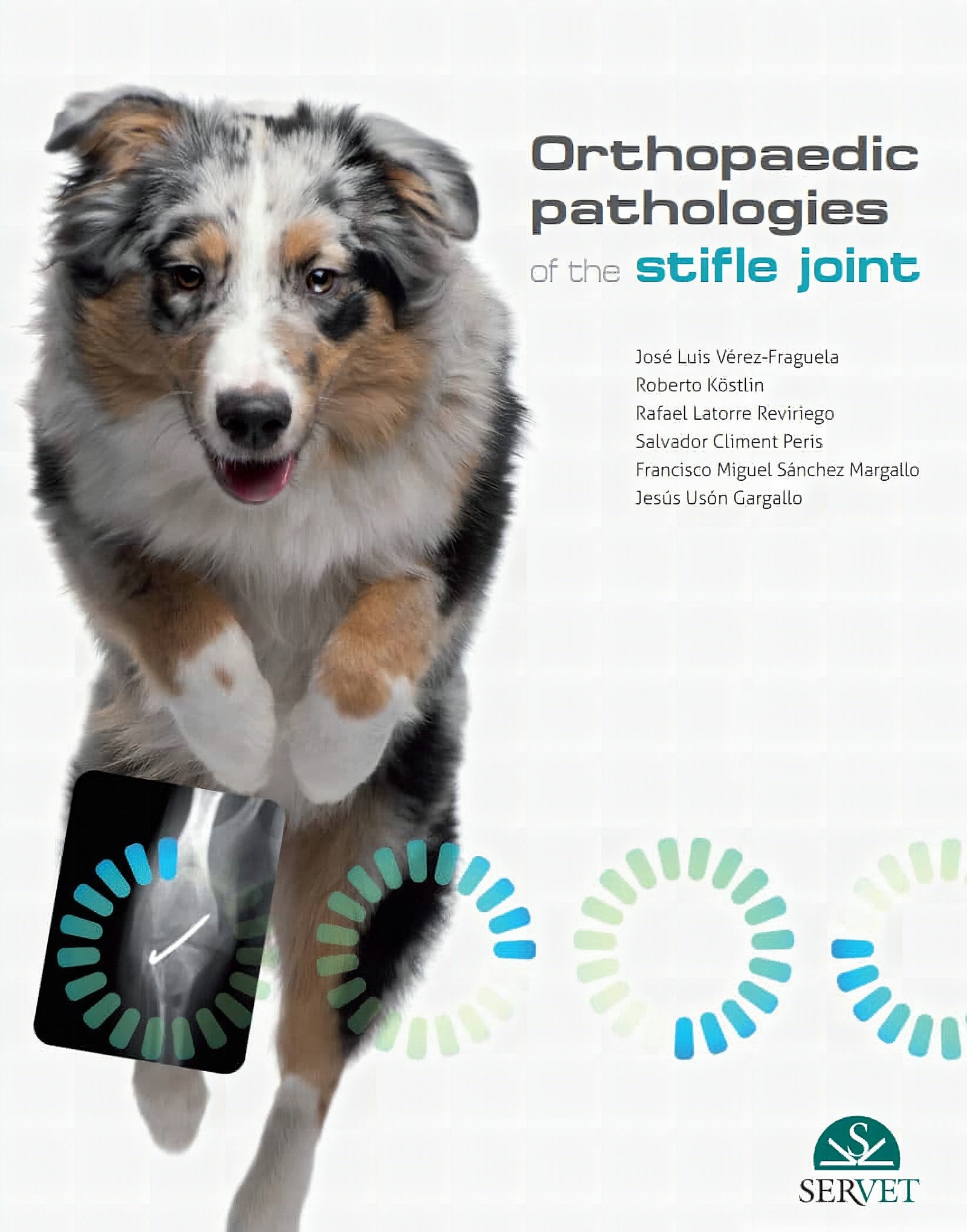 Orthopaedic Pathologies Of The Stifle Joint