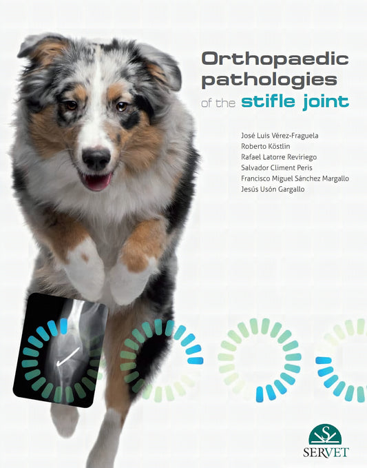 Orthopaedic Pathologies Of The Stifle Joint