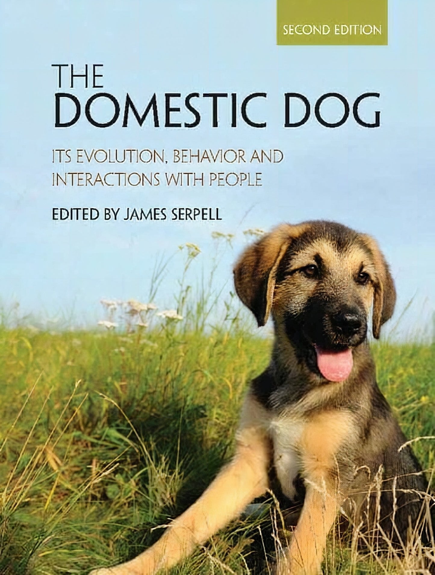 The Domestic Dog Its Evolution Behavior And Interactions With People 2Nd Edition