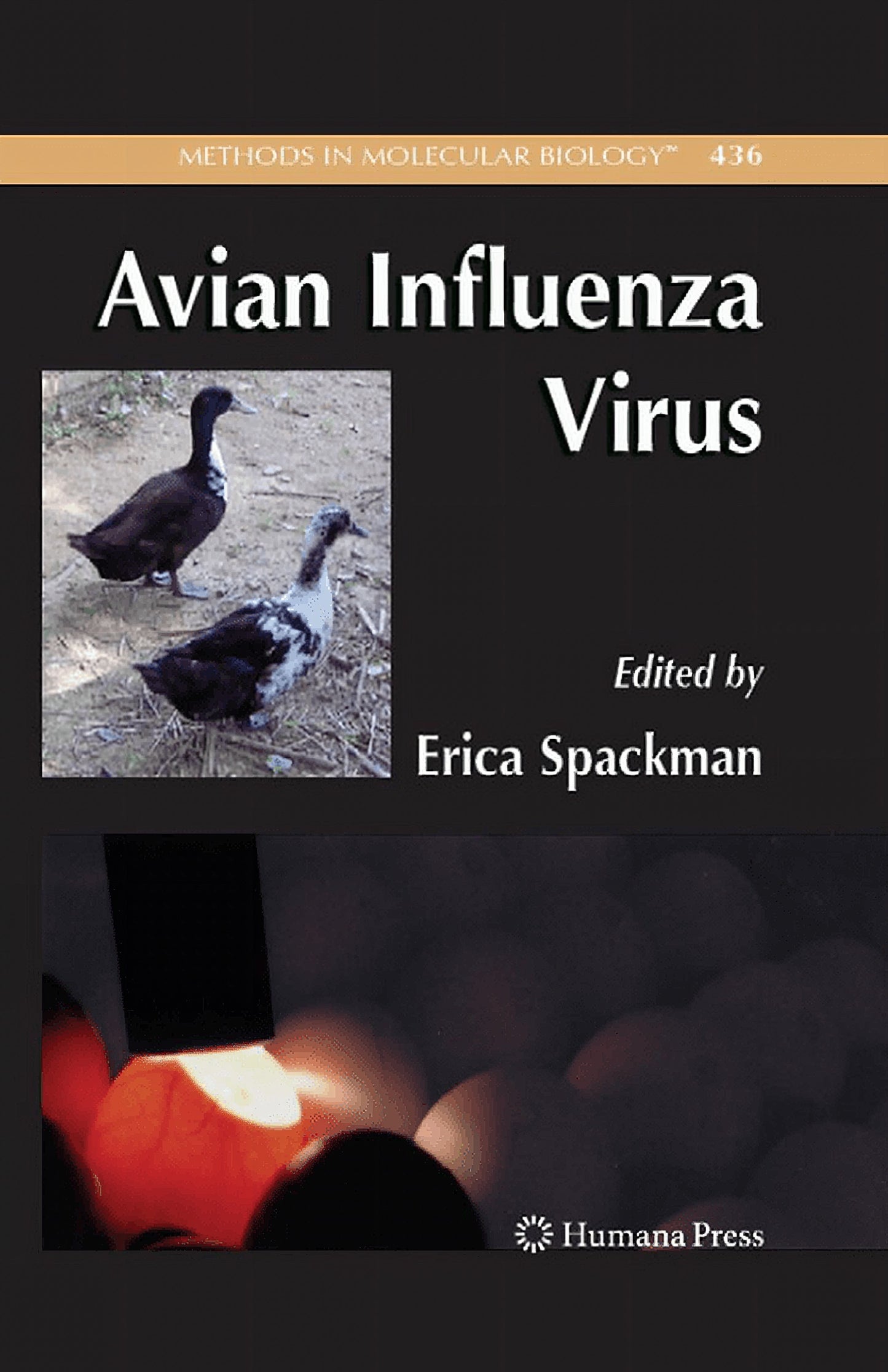 Avian Influenza Virus