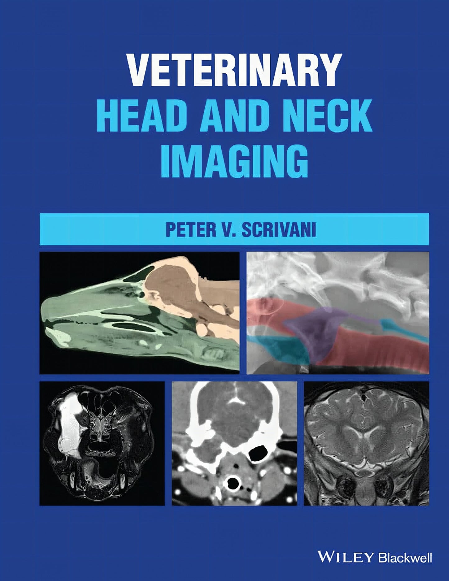 Veterinary Head And Neck Imaging