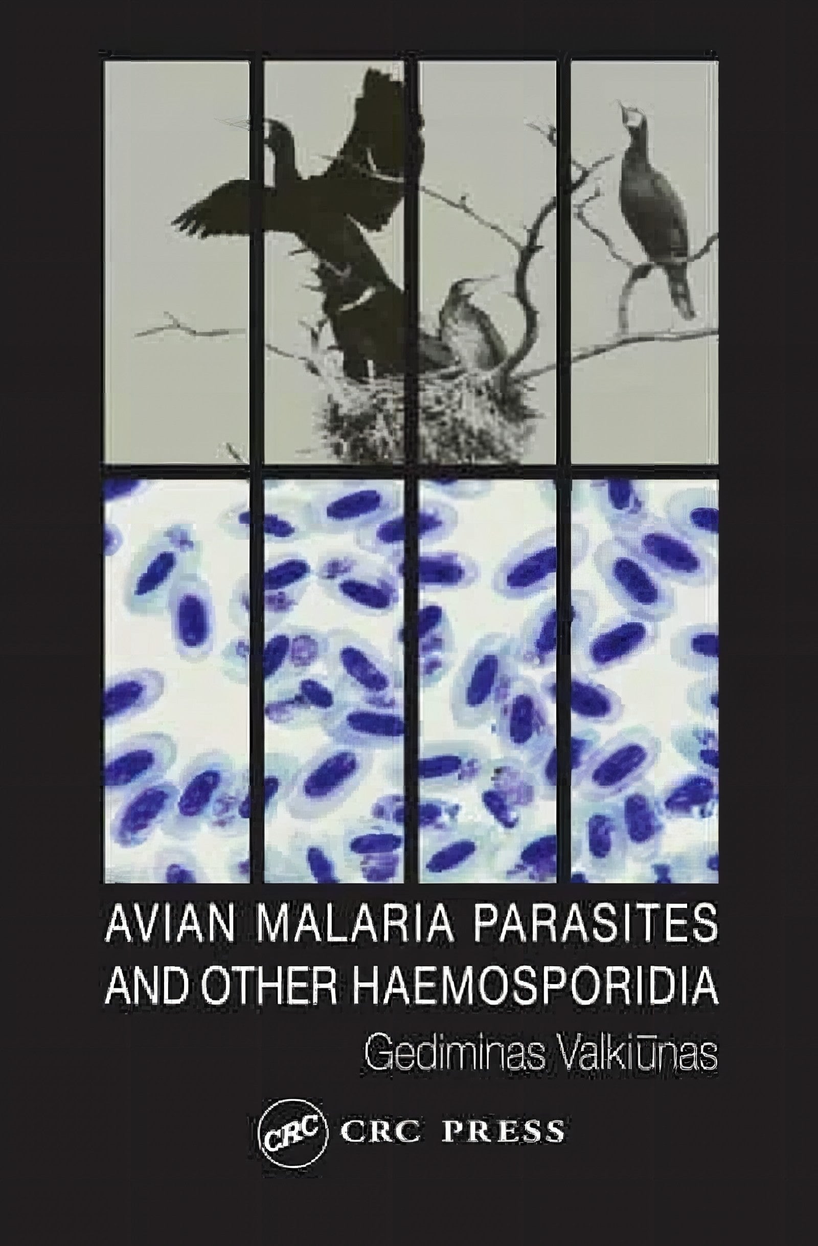 Avian Malaria Parasites And Other Haemosporidia