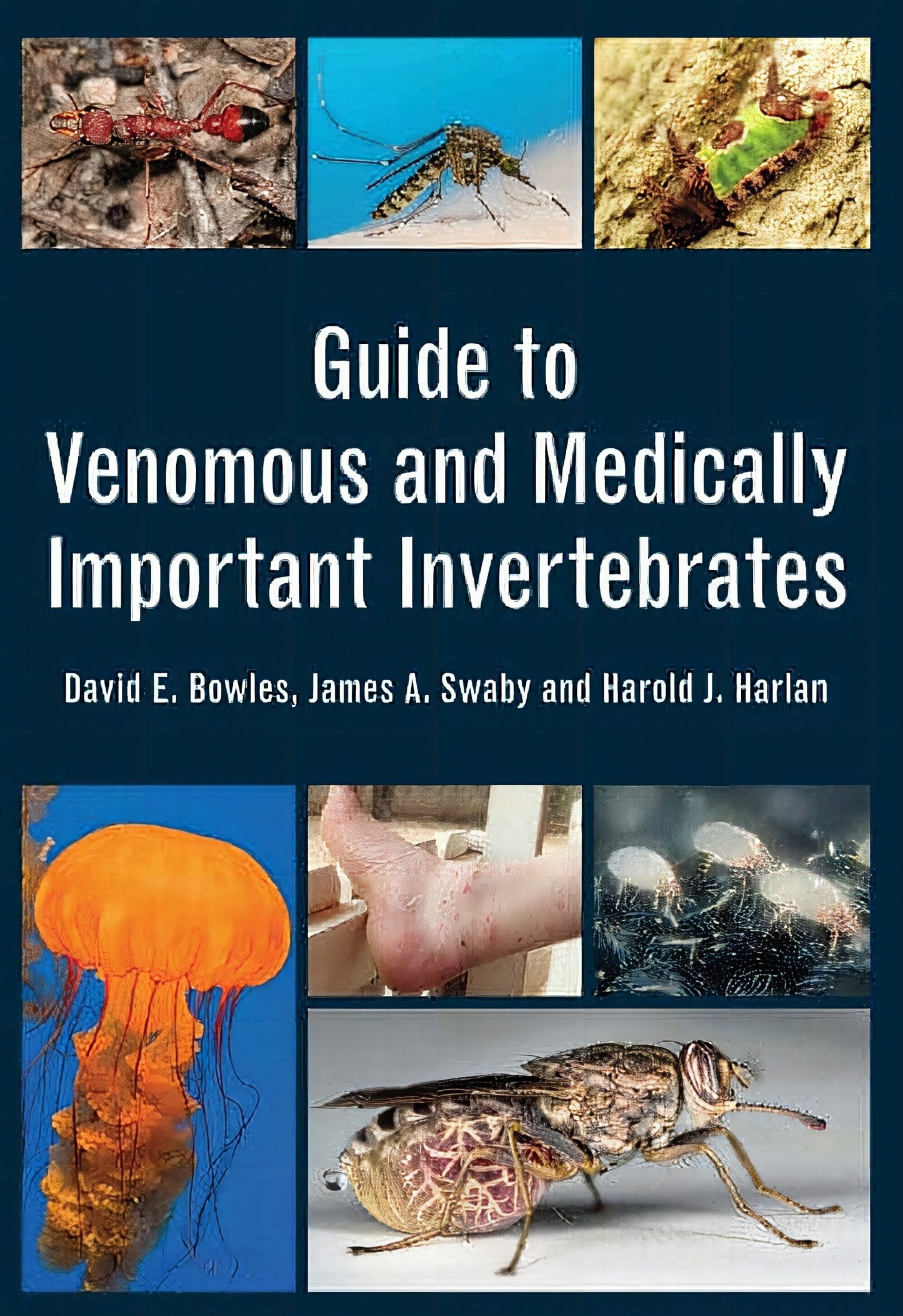 Guide To Venomous And Medically Important Invertebrates