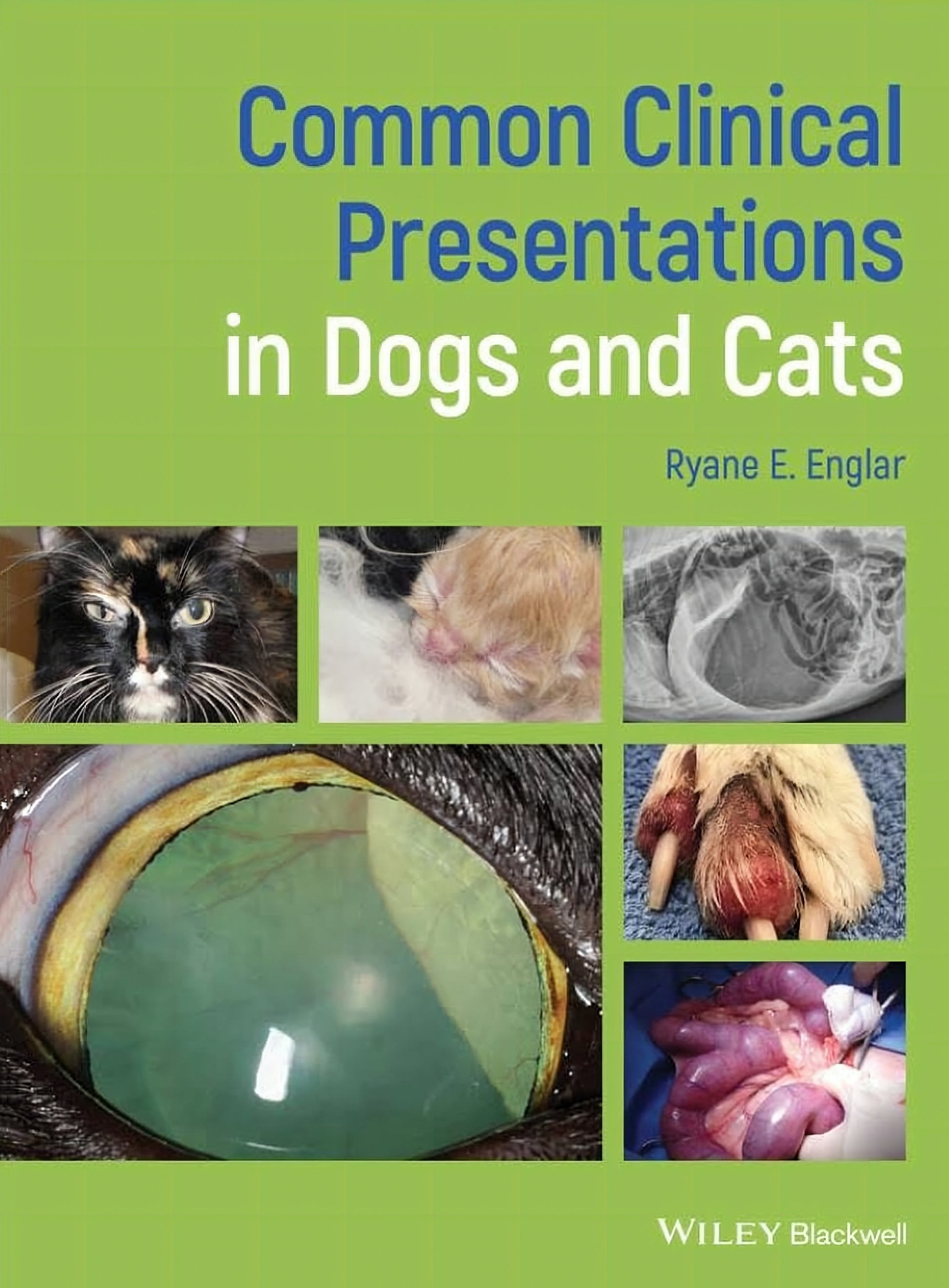 Common Clinical Presentations In Dogs And Cats