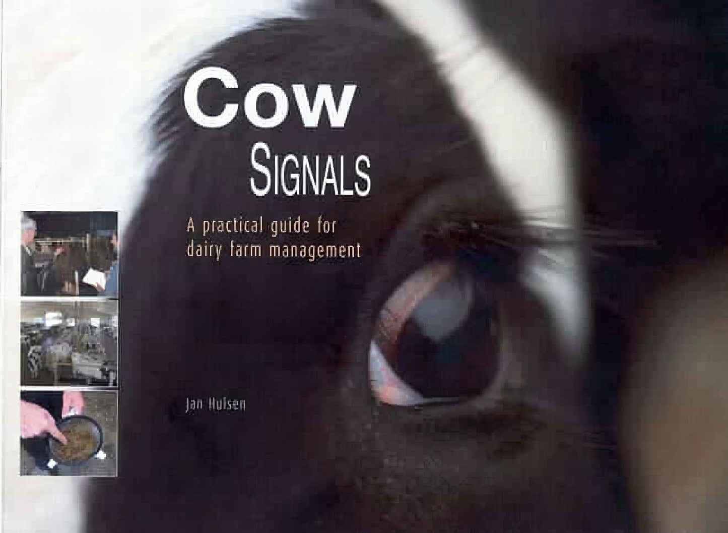 Cow Signals A Practical Guide For Dairy Farm Management