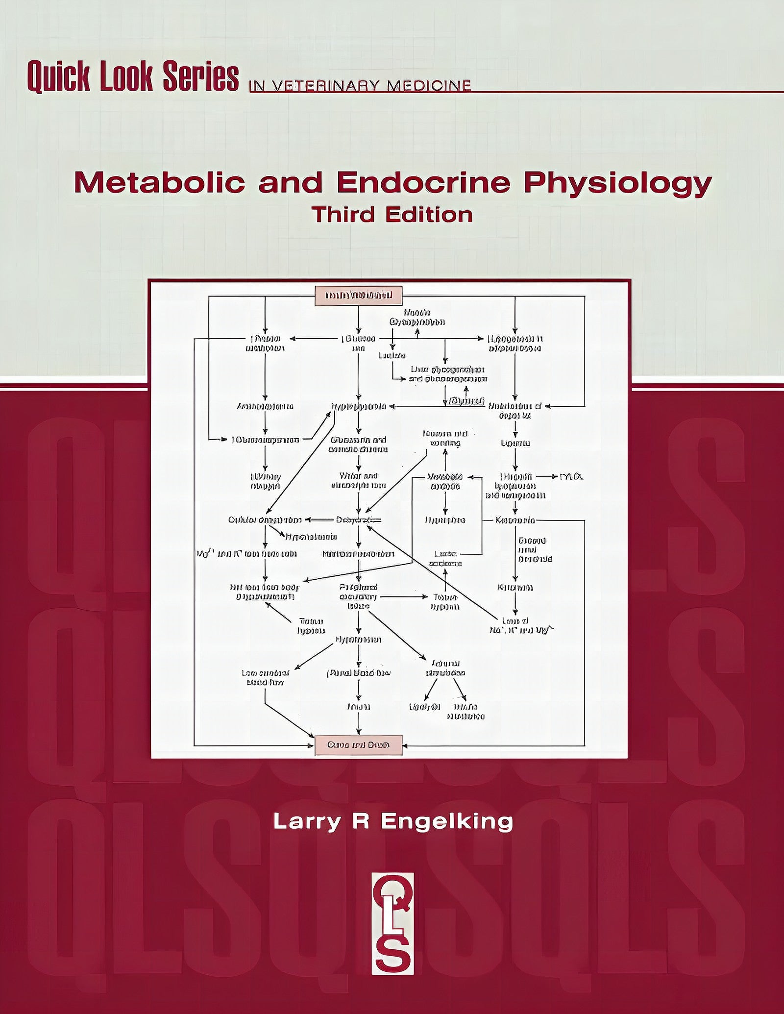 Metabolic And Endocrine Physiology Third Edition