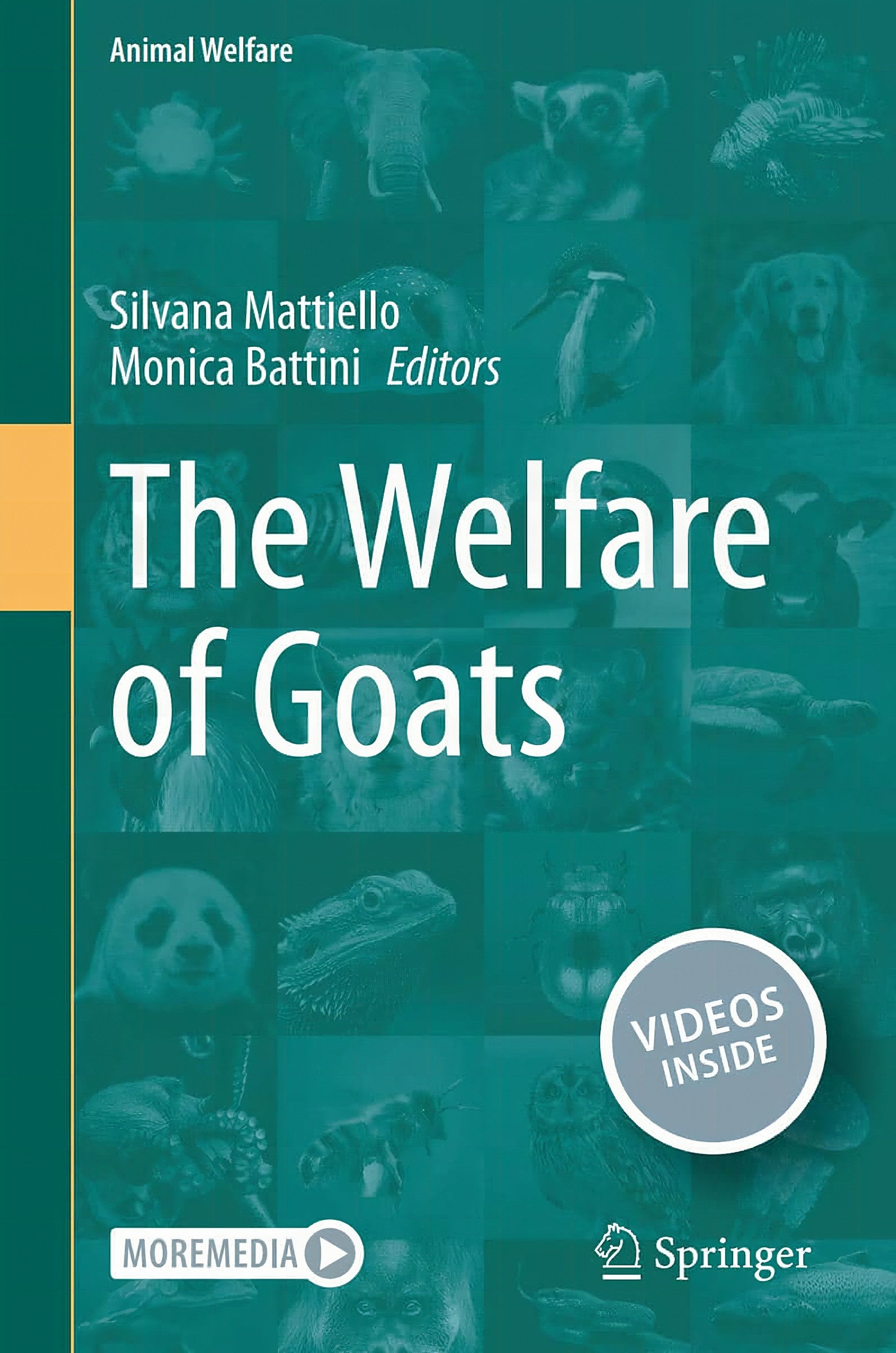 The Welfare Of Goats