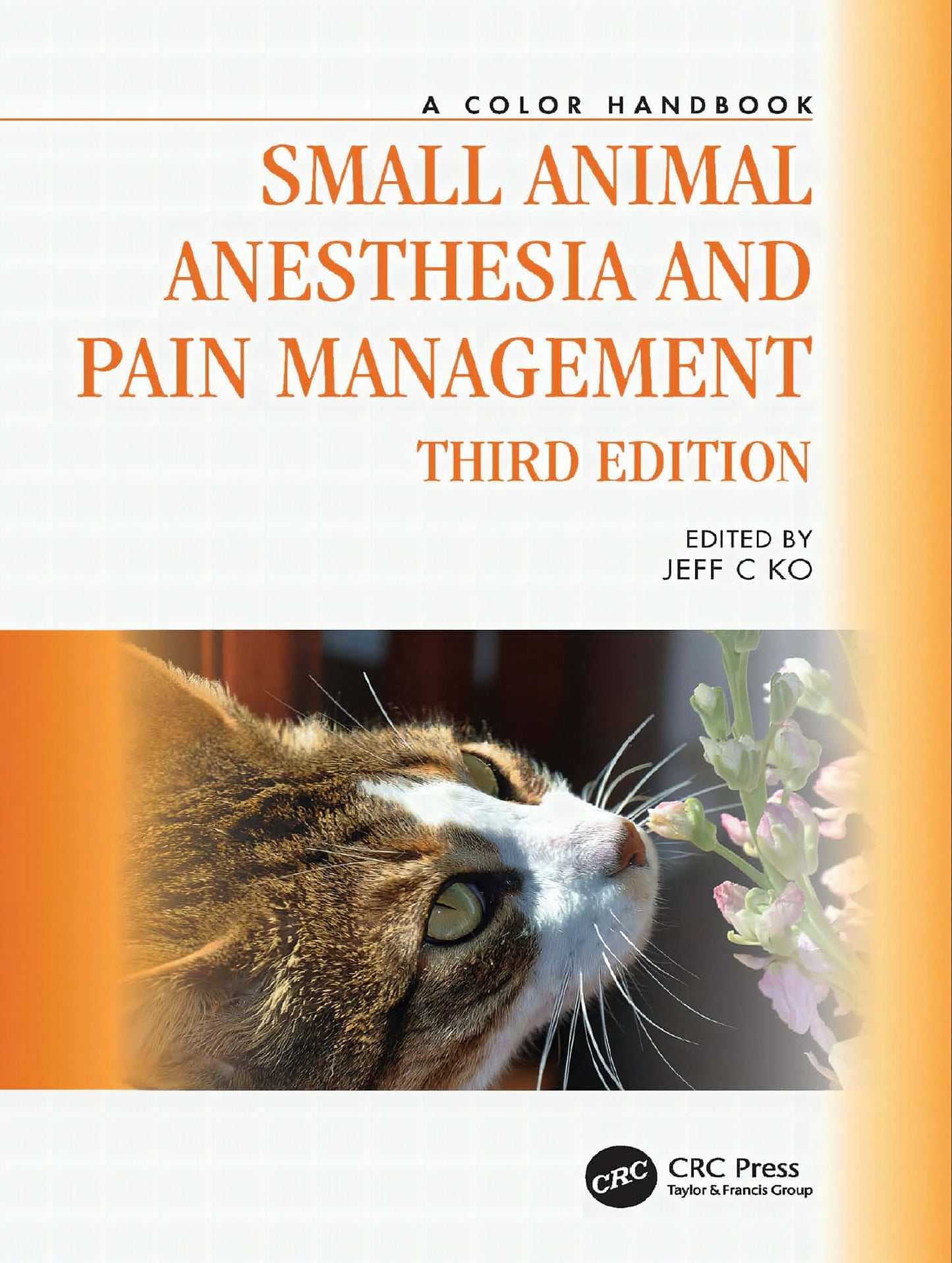 Small Animal Anesthesia And Pain Management A Color Handbook