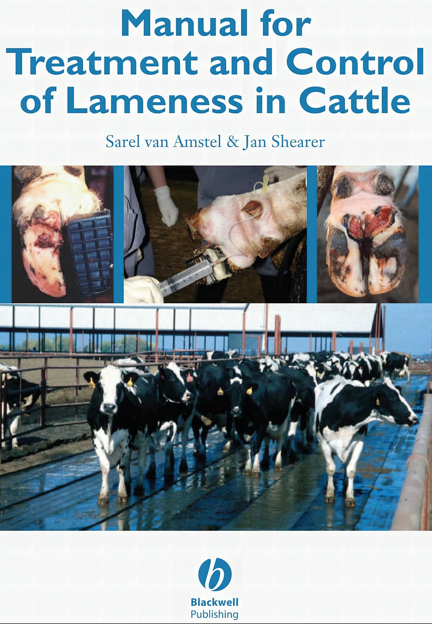 Manual For Treatment And Control Of Lameness In Cattle