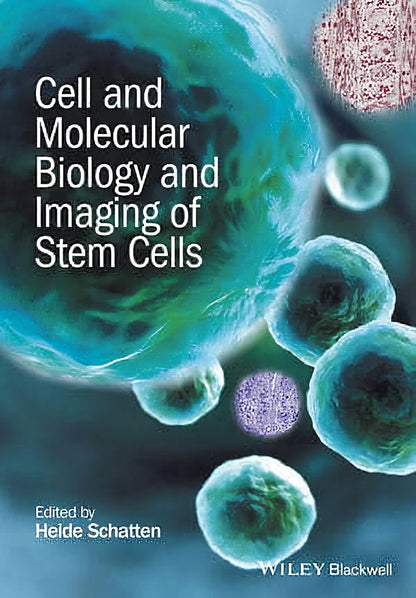 Cell And Molecular Biology And Imaging Of Stem Cells