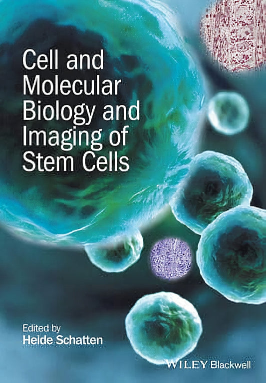 Cell And Molecular Biology And Imaging Of Stem Cells