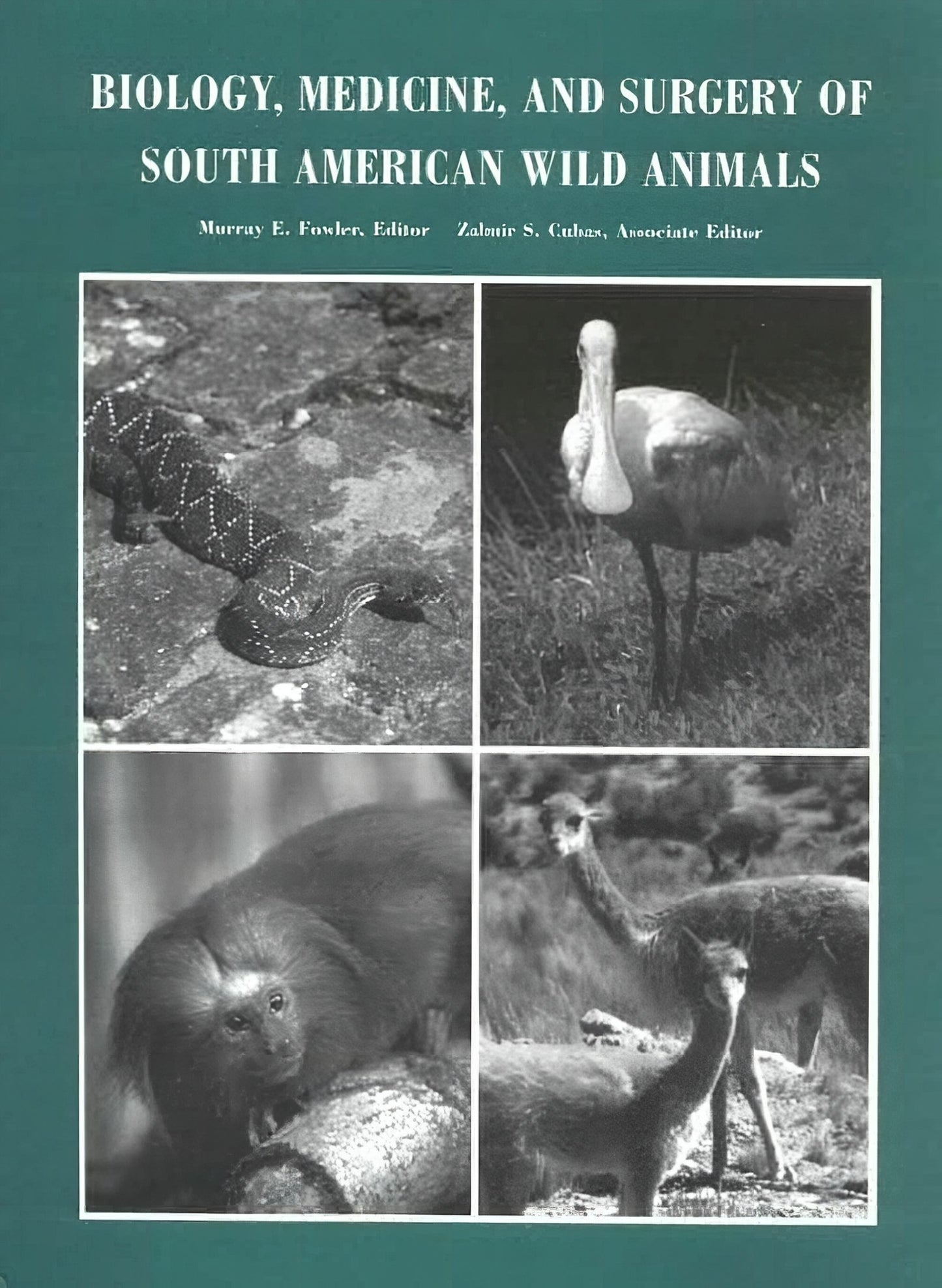 Biology Medicine And Surgery Of South American Wild Animals